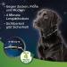 Beaphar Tick & Flea Protection Collar for Dogs - Waterproof Reflective Collar Effective Tick & Flea Defense International Shipping - Buy Online on SooperMarket.com