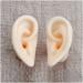 Soft Silicone Ear Template - Artificial Simulation Human Simulation Ear - Eare Acupuncture Acupuncture Point Template - for Acupuncture Soujons Loops