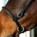 HORZE Genuine Leather Cross-Under Bitless Bridle with Web Reins - Black US Horse - Buy Online on SooperMarket.com