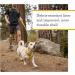 Ruffwear Hi & Light Dog Harness - No Pull Fully Adjustable Lightweight - XS Blue Dusk | Ideal for Small Medium Large & XL Dogs - Aluminum Lead Attachment & ID Bag - Buy Online on SooperMarket.com