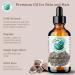 Organic Moringa Seed Oil - Bella Terra Oils | Cold-Pressed Facial Elixir | 2 oz | High in Vitamins A C & E for Radiant Beauty - Buy Online on SooperMarket.com