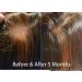 GHK-cu Copper Peptide Hair Regrowth Shampoo for Men & Women - Boost Hair Growth Nourish & Revitalize Shop Internationally - Buy Online on SooperMarket.com