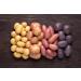 Mynatura Potato Fibers 1kg | Ideal for Soup & Potato Bread | High-Fiber Health Supplement - Buy Online on SooperMarket.com
