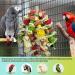Natural Corn Cob Chewing Bird Toys for Small & Medium Macaws, African Greys, Amazon Parrots, Love Birds | Cage Accessories - Buy Online on SooperMarket.com