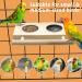 Tfwadmx Bird Food Stainless Steel Cups Wooden Perch Stand - Hanging Feeder Bowls for Parakeets, Conures, Cockatiels, Budgie Parrot - Feeding & Watering Supplies - Buy Online on SooperMarket.com