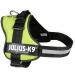 Shop K9 Powerharness 2XL/3 in Kiwi - Durable Adjustable Perfect for Active Dogs | International Shipping Available - Buy Online on SooperMarket.com