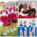 40 Pcs 8 Glitter Cheer Hair Bows Bulk - Silver Shiny Ponytail Holders for Cheerleaders - Buy Online on SooperMarket.com