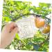 GANAZONO 4 Pcs Square Apple Molds Mushroom Square molds for Garden Shaper Cucumber Alien - Buy Online on SooperMarket.com