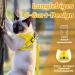 Supet Cat Dishes: Soft Yellow Cat Vest for Kittens & Small Dogs (M 33-38 cm) | International Shipping - Buy Online on SooperMarket.com
