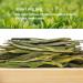 Oriarm 2023 Xihu Longjing Green Tea Loose Leaf - 500g - Spring Dragonwell Tea - Ecologically Grown - Chinese Long Jing Dragon Well Tea Leaves - Buy Online on SooperMarket.com