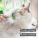 Reavet Unterwollkamm for Short-Haired Dogs & Cats | Self-Cleaning Deshedding Comb for Small Breeds - Buy Online on SooperMarket.com