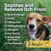 Happy Jack Sarcoptic Mange Medicine - 8 oz - Buy Online on SooperMarket.com