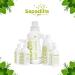 Sapadilla Dish Soap Rosemary Peppermint - 16 Fl Oz | Eco-Friendly Vegan & Biodegradable - Buy Online on SooperMarket.com