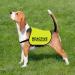 CENWA Reactive Dog Jacket Vest Dog Reactive Dog Training/Reactive Not Aggressive Service Dog Slogan Warning Vest (Reactive Not Aggressive L EU) - Buy Online on SooperMarket.com