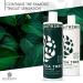 Purezero Tea Tree & Matcha Shampoo and Conditioner Set - Nourishing Scalp Treatment - Vegan & Cruelty Free - Color Safe - Buy Online on SooperMarket.com