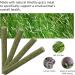Niteangel 20pcs Natural Timothy Hay Sticks for Rabbits, Chinchillas, Guinea Pigs | Molar Rod for Small Animals - Buy Online on SooperMarket.com
