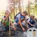 12oz Kids Stainless Steel Thermal Bottle with Straw Lid - Confetti Treats | Keeps Drinks Fresh for 12 Hours - Easy-to-Drink Design for Toddlers - Buy Online on SooperMarket.com