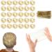Shakeel 30pcs Invisible Hair Nets for Buns with 20pcs U Shape Hair Pins Ballet Hair Nets for Girls Mesh Ballet Bun Nets Hair Bun Nets Gold for Women Dancer Caterers