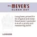 Mrs. Meyer's Liquid Dish Soap Lavender 16 Oz | Eco-Friendly Dishwashing Soap | International Shipping Available - Buy Online on SooperMarket.com