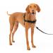PetSafe Easy Walk Harness Anti-Pull Dog Harness Reduces Choking and Coughing With 1.8M Leash Size M Black M Black