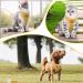 Adjustable Cat Dishes | Break-Safe Design & Leash Included | Premium Soft Puppy Bowls for Small Animals - Yellow - Buy Online on SooperMarket.com