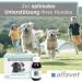 Alfavet Reconvales Tonicum for Dogs | Appetizing Supplementary Feed for Convalescence & Weight Gain | 6 x 90 ml Bottles - International Shipping Available - Buy Online on SooperMarket.com