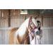 Indira Bridle Pro for Cob & Small Horses - Premium Pink 01 | International Shipping Available - Buy Online on SooperMarket.com