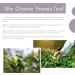 Thames Tea: Premium Flavoured Loose Leaf Cream Earl Grey - Tubebox | Luxury British Tea Experience - Buy Online on SooperMarket.com