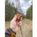 Buy Weisskirchen Bird Scarer Call | Effective Game Decoy for Hunting & Animal Observation - Buy Online on SooperMarket.com