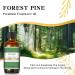 EUQEE Forest Pine Fragrance Oil 60ml - Premium Grade Aromatherapy Essential Oil for Diffusers and DIY Candle Making - Buy Online on SooperMarket.com
