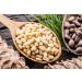 Buy Mynatura Bio Cedar Nuclei - Siberian Wild Collection 500g | Premium Pine Nuts Snack Mix | Healthy Nut Mix - Buy Online on SooperMarket.com