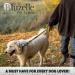Bluzelle Strong Double Dog Lead 3m for Large Dogs | Adjustable & Reflective | Hands-Free Leash for Dogs up to 220lb | Yellow - Buy Online on SooperMarket.com