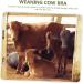 Buy Milk Hood Cow Breast Cover - Calf Weaner Tool for Cattle - Farm Supplies & Animal Husbandry Equipment - Buy Online on SooperMarket.com