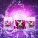 SNEAK Raspberry Lemonade Hydrate Edition - Zero Caffeine, Zero Sugar, Ashwagandha, Coconut Water - 30 Servings - Buy Online on SooperMarket.com