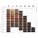 Ayluna Hair Color 70 Cinnamon Brown - 100g Pack of 2 | International Shipping Available - Buy Online on SooperMarket.com