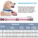Haapaw Reflective Dog Collar - Soft Neoprene Padded Breathable Nylon for Small & Medium Dogs - S (1 Pack) - Pink - Buy Online on SooperMarket.com