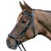 Star Waldhausen Bridle Hannover Black Pony