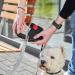 Dogxi 5m Retractable Dog Leash for Small & Medium Dogs - Adjustable Black Belt with Carabiner Perfect for Car Use - 25kg Capacity - Buy Online on SooperMarket.com