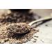 Club House Quality Natural Herbs & Spices Cracked Black Pepper 520g Case Pack Count 12 520 g (Pack of 1) - Buy Online on SooperMarket.com