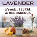 Mrs. Meyer's Lavender Bar Soap 5.3 oz - Hand & Body Wash with Essential Oils - Buy Online on SooperMarket.com