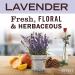 Mrs. Meyer's Antibacterial Hand Sanitizer Spray - Travel Size - Lavender - 2 oz | Removes 99.9% of Bacteria - Buy Online on SooperMarket.com