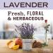 Buy Mrs. Meyers Clean Day Foaming Hand Soap - Eco-Friendly Versatile and Made with Essential Oils - International Shipping Available - Buy Online on SooperMarket.com