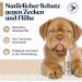 Felmo Spot-On for Dogs 50ml | Natural Tick & Flea Protection with Black Cumin Oil | Vet Recommended - Buy Online on SooperMarket.com