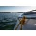 AIRHEAD Watersports Bungee Tube Tow Rope - 50' | Multi One Size - Buy Online on SooperMarket.com