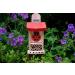Wildlife World LBT4 Live Ladybird Lodge in Red/Brown - Natural Pest Control Solution - Buy Online on SooperMarket.com