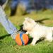 Chuckit! Large Regular Glow Ball - Bright and Durable Fetch Toy - Buy Online on SooperMarket.com