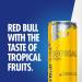 Red Bull Energy Drink Tropical Edition 250 ml x24 - Buy Online on SooperMarket.com