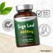 Sage Menopause Tablets 4000mg | Hot Flush Relief Supplement | 120 Vegan Tablets by Horbaach - Buy Online on SooperMarket.com