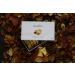 Cardelion Marron Glace - Candied Chestnuts Special Occasions Suitable for All Seasons (360 Gram 12.6 oz 20 Pieces) - Buy Online on SooperMarket.com