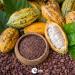 Yupik Dark Chocolate Coconut Almonds - 2.2 lb | Premium Quality Snack Mix - Buy Online on SooperMarket.com